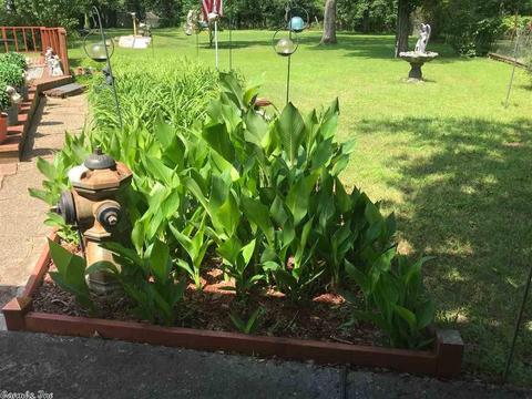 21613 White Estates Rd, Bauxite, AR 72011 photo 2