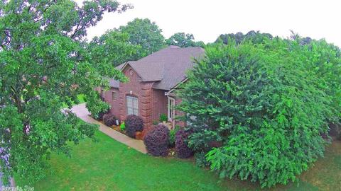 49 Trenton Dr, Greenbrier, AR 72058 photo 3