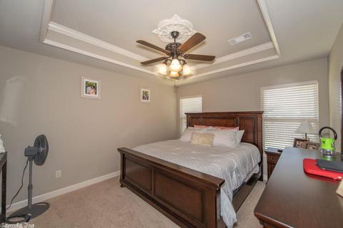 12 Marlin Dr, Austin, AR 72007 photo 12