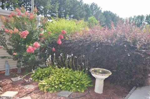 103 Pierce Dr, Beebe, AR 72012 photo 12