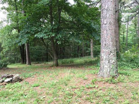 251 Quattlebaum Rd, Clinton, AR 72031 photo 30