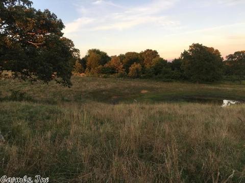 601 Brewer Rd, Sidney, AR 72577 photo 7