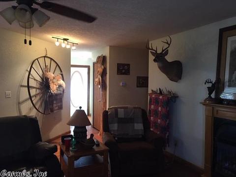 601 Brewer Rd, Sidney, AR 72577 photo 16