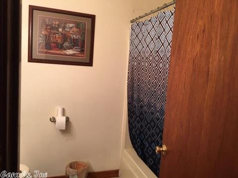 601 Brewer Rd, Sidney, AR 72577 photo 24