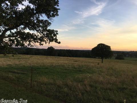 601 Brewer Rd, Sidney, AR 72577 photo 8
