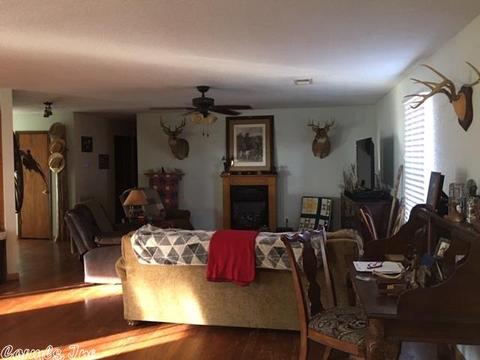 601 Brewer Rd, Sidney, AR 72577 photo 13