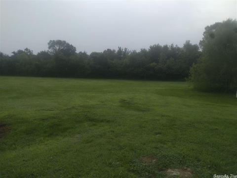 1290 Dons Ln, Conway, AR 72032 photo 7
