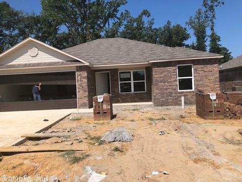 6185 Saddle Hill Dr, Alexander, AR 72002 photo 1