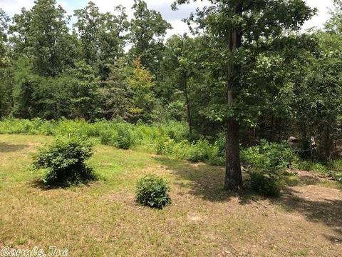 931 Polk 76 E, Mena, AR 71953 photo 22
