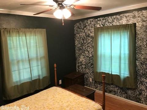 931 Polk 76 E, Mena, AR 71953 photo 9