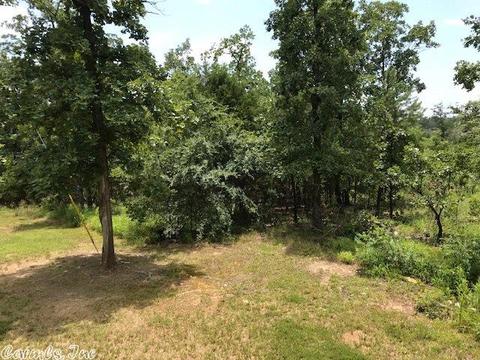 931 Polk 76 E, Mena, AR 71953 photo 21
