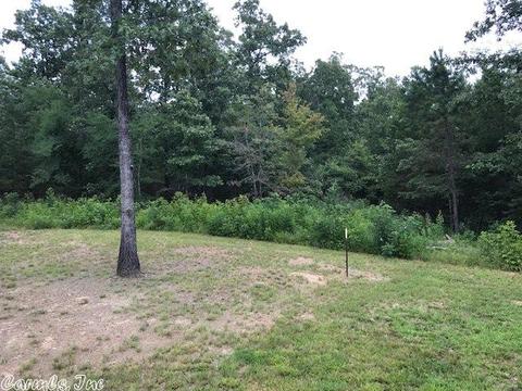 931 Polk 76 E, Mena, AR 71953 photo 17