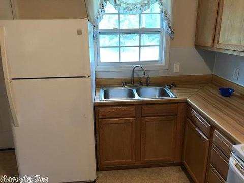931 Polk 76 E, Mena, AR 71953 photo 6