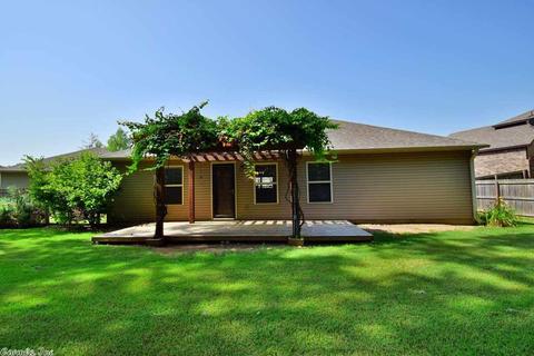 3650 Treetop Cir, Conway, AR 72032 photo 17