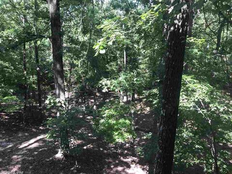 36 Peninsula Dr # A, Mount Ida, AR 71957 photo 21