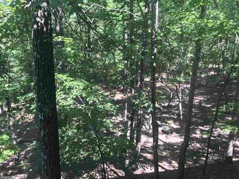 36 Peninsula Dr # A, Mount Ida, AR 71957 photo 20