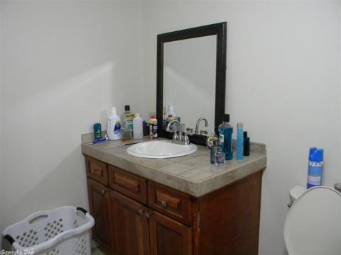 102 Robert Ln, Bald Knob, AR 72010 photo 15