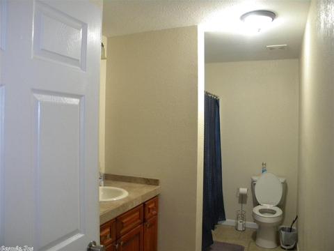 102 Robert Ln, Bald Knob, AR 72010 photo 23