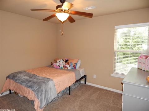 14496 Skyline Dr, Alexander, AR 72002 photo 29