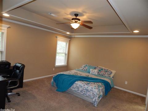 14496 Skyline Dr, Alexander, AR 72002 photo 22