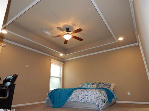 14496 Skyline Dr, Alexander, AR 72002 photo 21
