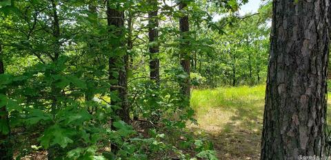 Mcdermott Trail, Mayflower, AR 72106