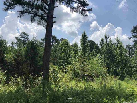 108 Ranch Rd, Pangburn, AR 72121 photo 9