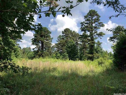 108 Ranch Rd, Pangburn, AR 72121 photo 6