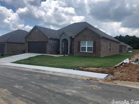 2235 Matthews Meadows Ln, Conway, AR 72032 photo 2