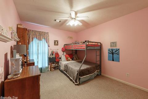 165 Applegate Dr, Conway, AR 72034 photo 22