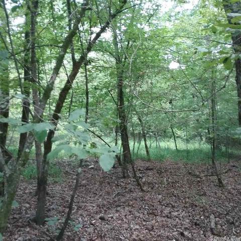 tbd Funderburk Rd, Murfreesboro, AR 71958 photo 5