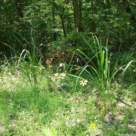 tbd Funderburk Rd, Murfreesboro, AR 71958 photo 1