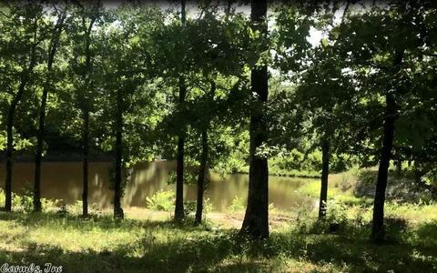 5490 Highway 88 E, Mena, AR 71953 photo 7