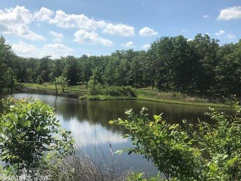 5490 Highway 88 E, Mena, AR 71953 photo 2