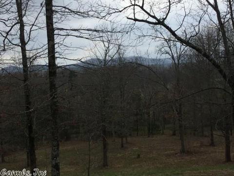 5490 Highway 88 E, Mena, AR 71953 photo 24