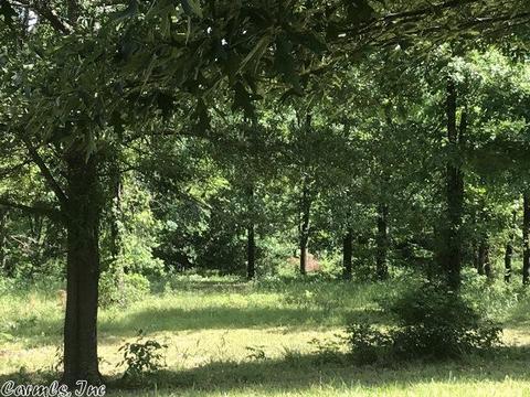 5490 Highway 88 E, Mena, AR 71953 photo 18