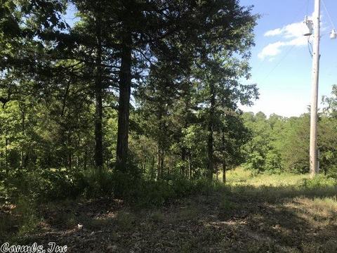 5490 Highway 88 E, Mena, AR 71953 photo 17