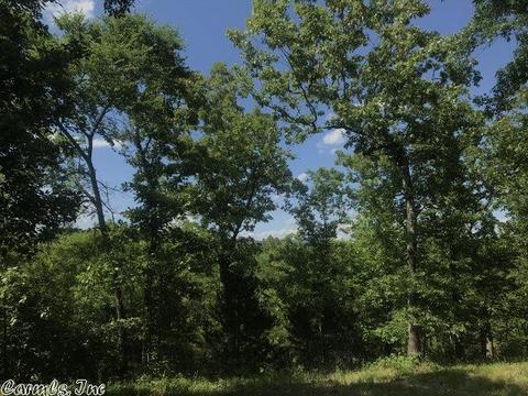 5490 Highway 88 E, Mena, AR 71953 photo 16