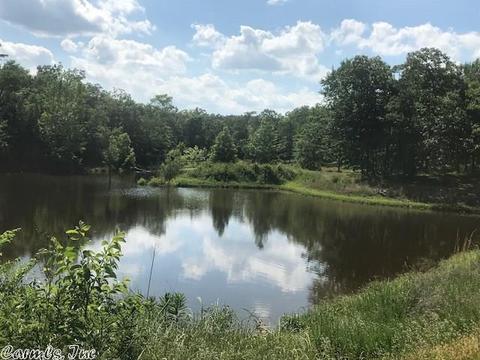 5490 Highway 88 E, Mena, AR 71953 photo 4
