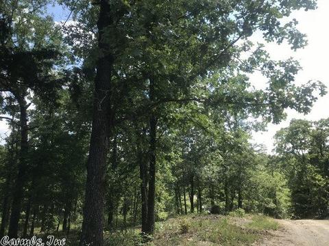 5490 Highway 88 E, Mena, AR 71953 photo 10