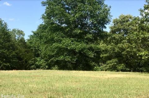 5490 Highway 88 E, Mena, AR 71953 photo 15