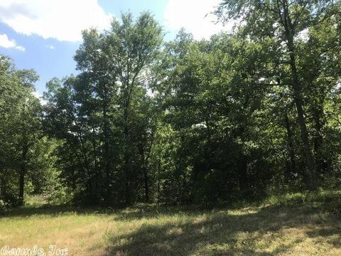 5490 Highway 88 E, Mena, AR 71953 photo 14