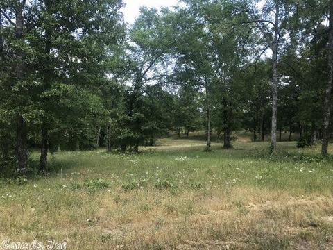 5490 Highway 88 E, Mena, AR 71953 photo 9