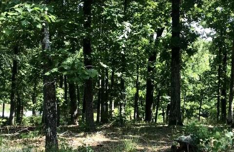 5490 Highway 88 E, Mena, AR 71953 photo 29