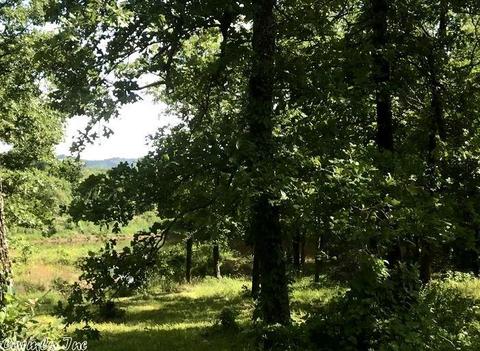 5490 Highway 88 E, Mena, AR 71953 photo 28