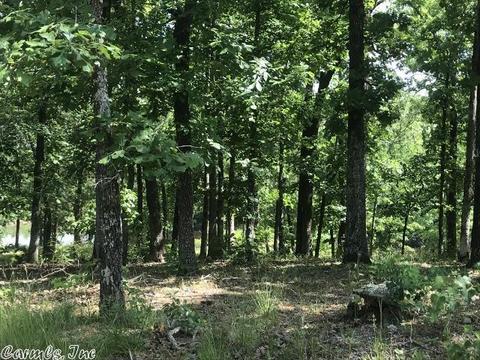 5490 Highway 88 E, Mena, AR 71953 photo 26