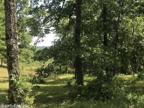 5490 Highway 88 E, Mena, AR 71953 photo 25