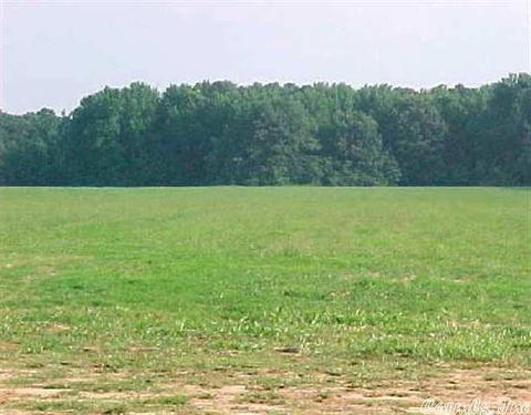 129 W Hwy 64, Beebe, AR 72012 photo 3