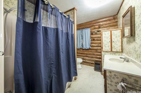 258 Opal, El Paso, AR 72045 photo 33