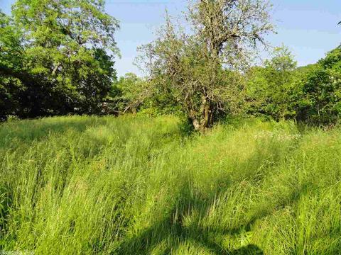 615 Range St, Marshall, AR 72650 photo 12